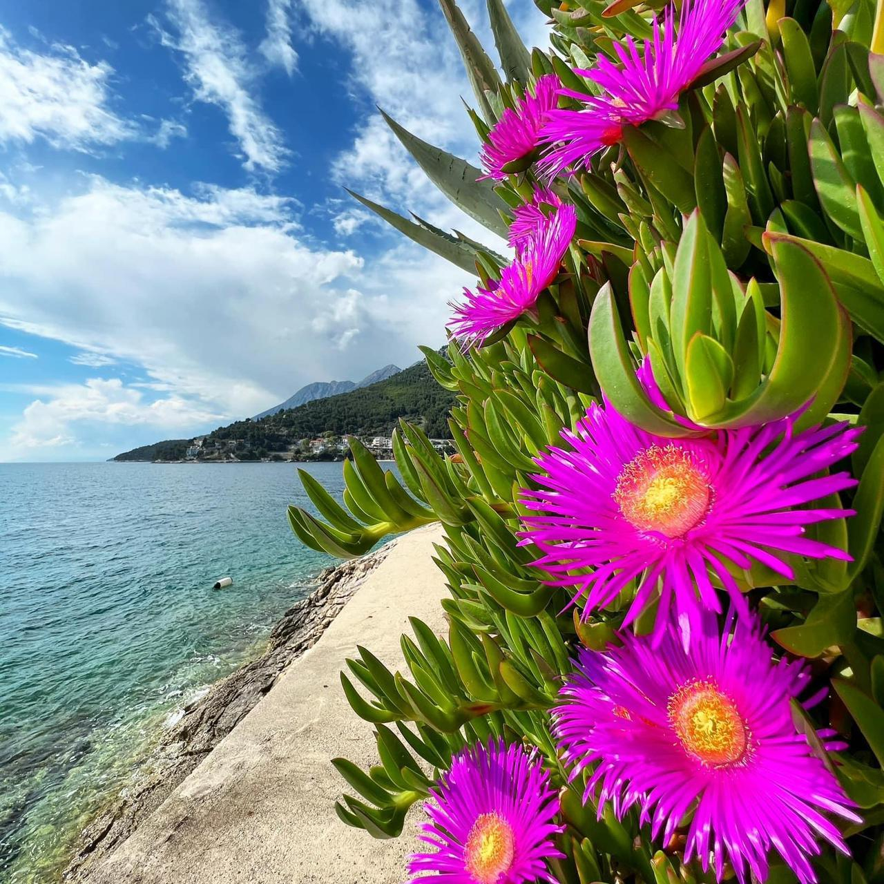 IMG 20251216 WA0060 copy